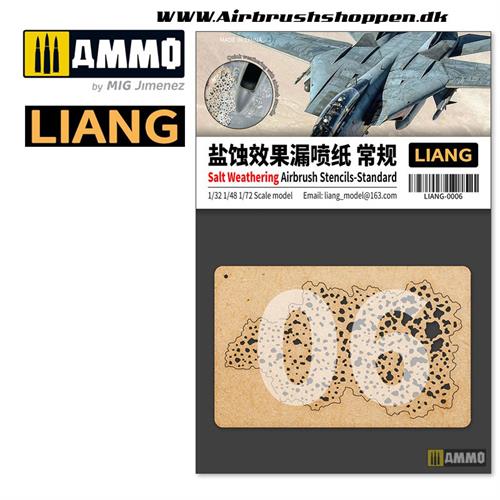 LIANG-0006  Salt Weathering Effects Airbrush Stencils (mild)
